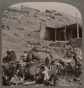 Trem de camelo de Jerash, molhando na Fonte de Eliseu, c1900 de Unbekannt