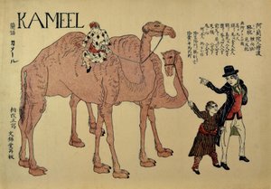 Camelos com manipuladores holandeses, ca. 1821. de Unbekannt