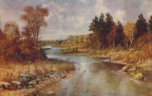 Cena da floresta canadense, 1924 de Unbekannt