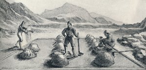 Cancha De Beneficiar, ou Modo de Amalgamação de Ouro e Prata, c1826, 1911 de Unbekannt