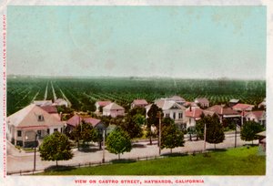 Castro Street, Hayward, Califórnia, 1905 de Unbekannt