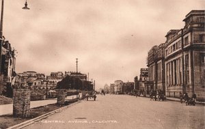 Avenida Central, Calcutá, c1900 de Unbekannt