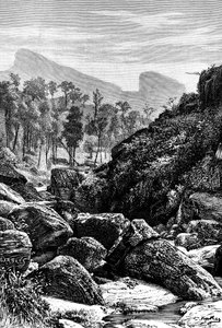 Ceilão Sri Lanka, 1895 de Unbekannt