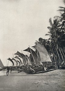 Barcos de pesca marítima ceilão com estabilizador, 1926 de Unbekannt
