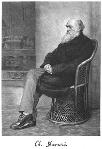 Charles Darwin, naturalista inglês, 1883 de Unbekannt
