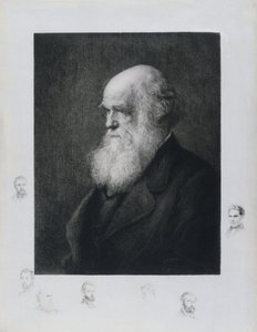 Charles Darwin, naturalista inglês, c 1860s de Unbekannt