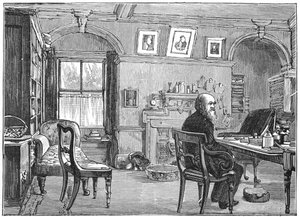 Charles Darwin, naturalista inglês, em seu estudo, c1870 1887 de Unbekannt