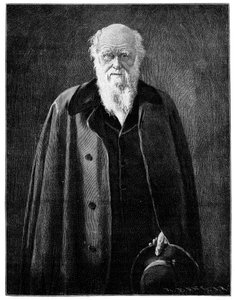 Charles Darwin, renomado naturalista e pensador, 1900 de Unbekannt