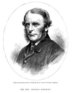 Charles Kingsley, escritor e clérigo britânico, c1880 de Unbekannt