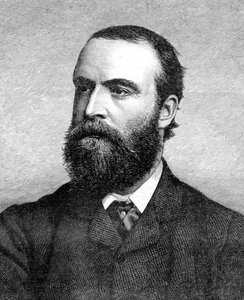 Charles Stuart Parnell, político irlandês do século XIX, c1874-1891 de Unbekannt