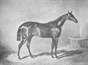 Carlos XII, vencedor do St. Leger 1839, 1911 de Unbekannt