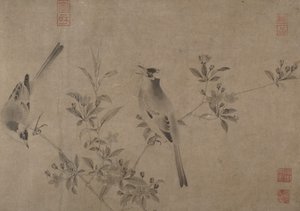 Bulbuls chineses na flor de cerejeira. de Unbekannt