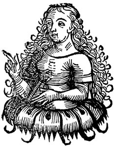 Sibila Ciméria, 1493 de Unbekannt
