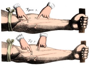 Circulação do sangue, 1628 de Unbekannt