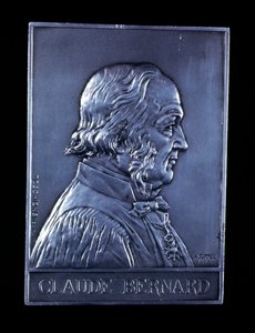Claude Bernard, fisiologista francês do século XIX, 1913 de Unbekannt