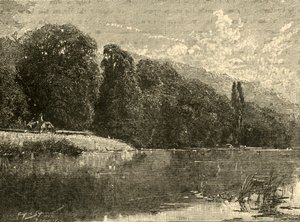 Madeiras de Cliefden, 1898. de Unbekannt