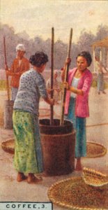 Café, 3. Casca de Feijão, Java, 1928 de Unbekannt