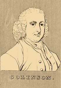 Colinson, 1694-1768, 1830. de Unbekannt