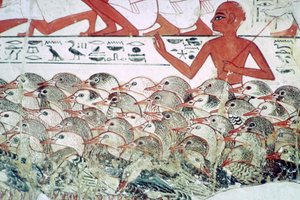 Contando os gansos: fragmento de pintura de parede do túmulo de Nebamun, Tebas, Egito, c1350 aC de Unbekannt