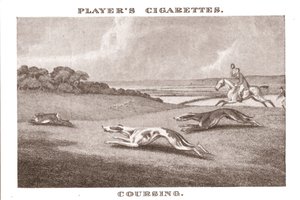 Coursing-11, 1924. de Unbekannt
