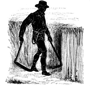 Rotação das culturas: colhendo com uma foice de Hainault, 1855 de Unbekannt