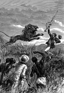 David Livingstone, missionário escocês e explorador africano, sendo carregado por um leão, c1860 de Unbekannt