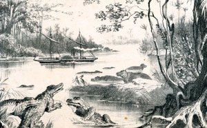 David Livingstone navegando no Zambeze, África, 1852-1864 c1878 de Unbekannt