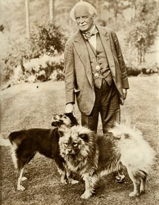 David Lloyd George, 1935. de Unbekannt