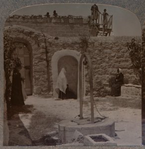Davids bem nos arredores de Belém, c1900 de Unbekannt