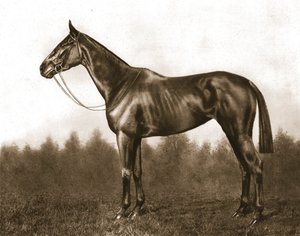 Demure, 1911. de Unbekannt