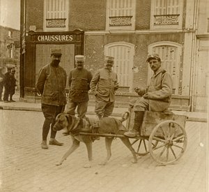 Carrinho de cachorro, França, c1914-c1918 de Unbekannt