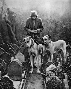 Cemitério de cães, Victoria Gate, Bayswater, Londres, 1926-1927 de Unbekannt