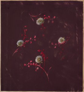 Desenho, de Saint Germain - Volumes 1 & 2, ca. 1896 de Unbekannt