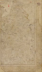 Desenho de animais e plantas, início do século XVII. de Unbekannt