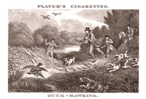 Duck-Hawking, 1924. de Unbekannt