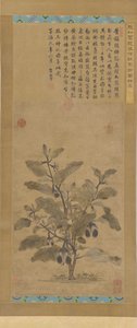 Berinjela, dinastia Ming, 1368-1644. de Unbekannt