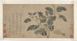 Berinjela, dinastia Yuan ou Ming, século XIV. de Unbekannt