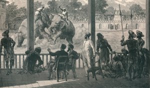 Luta de elefantes em Baroda, 1896 de Unbekannt
