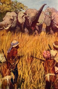 Elefantes em Chase, c1850 c1912 de Unbekannt