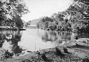 Sombras da noite, parque nacional, c1900. de Unbekannt