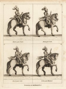 Exercício do cavalo de Unbekannt