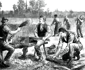 Ondulação de linho, c1880 de Unbekannt
