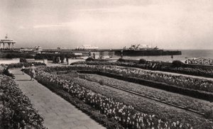 Jardins florais e o West Pier, Brighton, Sussex, 1938 de Unbekannt