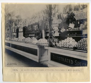 Exposição de horticultura na Flórida no Palácio da Horticultura na Feira Mundial de 1904 de Unbekannt