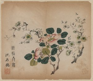 Prunus de floração, 1368-1644.