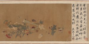 Flores, frutas, conchas e insetos, 1368-1644. de Unbekannt