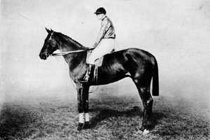 Raposa voadora, 1896-1911, 1911 de Unbekannt