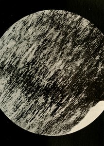 Madeira fóssil no arenito, de uma moraine no latitude 85 ° sul, c1908, 1909. de Unbekannt