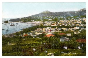 Funchal, Madeira, início do século XX de Unbekannt