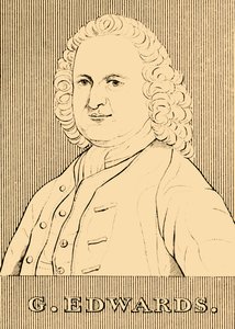 G. Edwards, 1694-1773, 1830. de Unbekannt